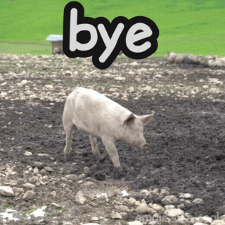 Bye GIF