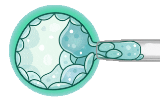 Sticker by Papo Fértil