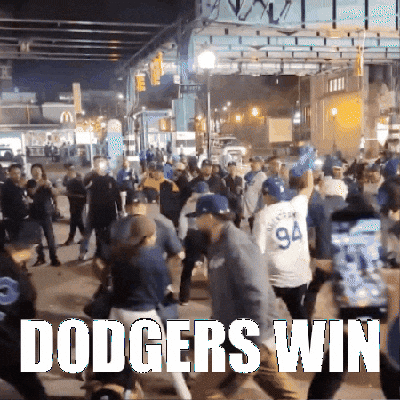 Baseball Win GIF
