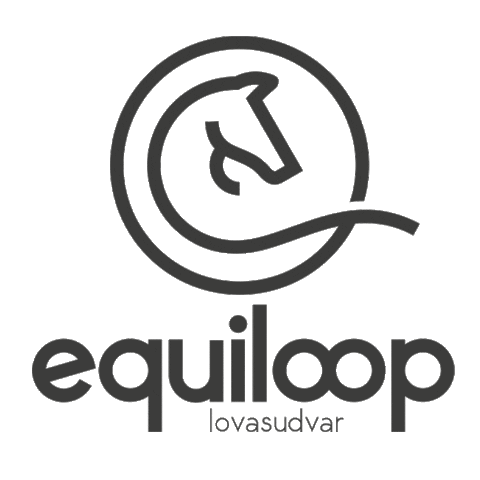 Logo Sticker by Origami Bikini