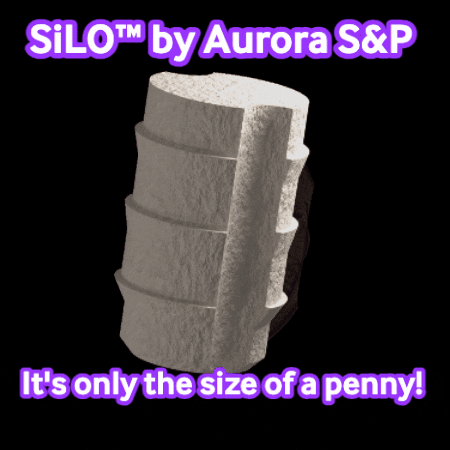 Penny Silo GIF by Aurora Spine & Pain
