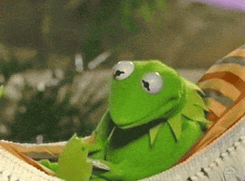 Relaxed Kermit The Frog GIF by Muppet Wiki