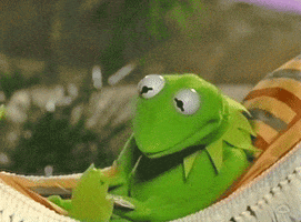 Relaxed Kermit The Frog GIF by Muppet Wiki