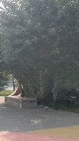 John Sullivan Skateboard GIF