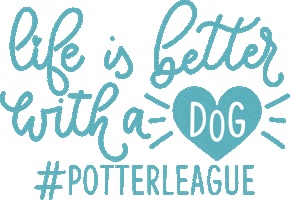 Take Me Home Sticker by Potter League