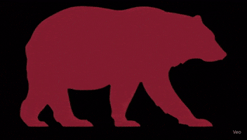 GIF by HIES Athletics