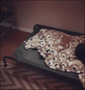 part creatures GIF