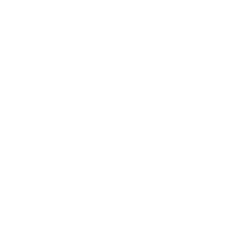 FITURE US Sticker
