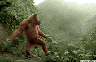 200.gif?cid=fc005b085ba88283758e51d22bb46f931268f5884efb92ff&rid=200.gif&ct=g