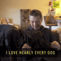 I Love Dogs Photography GIF by 60 Second Docs