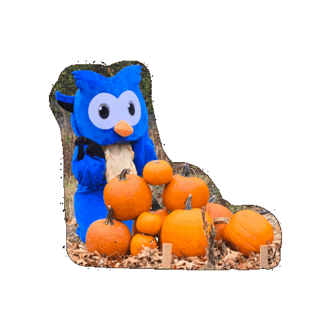 Pumpkin Patch Halloween Sticker by Middlesex Community College