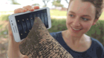elephant tablet GIF