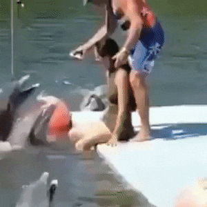 Fun GIF