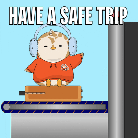 Travel Flying GIF by Pudgy Penguins