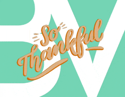 Thanksgiving GIF by BIGVISION