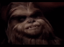 star wars holiday special vhs GIF