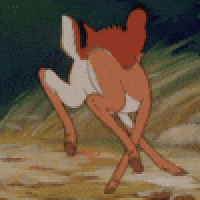 bambi-rXreiZK7BbSNO