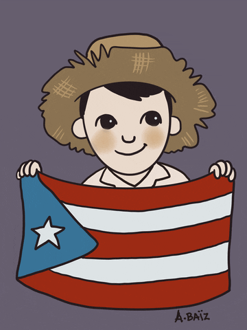Puerto Rico Flag GIF by Alejandra Baiz