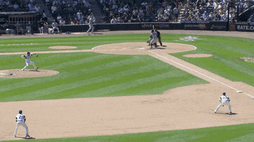 Look Out New York Yankees GIF by Jomboy Media