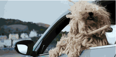 car driving GIF by ADWEEK