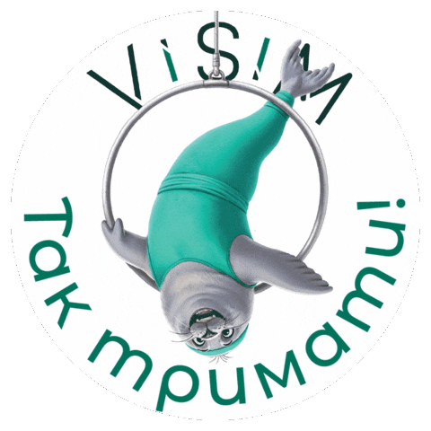 Visimtulen Sticker by Visim Sport Space