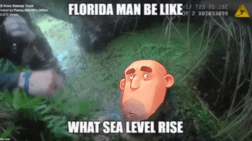 Save Me Florida GIF by My Time At Portia
