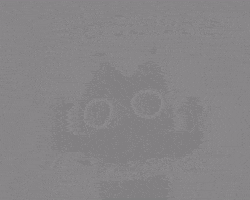 Cat Cinema GIF