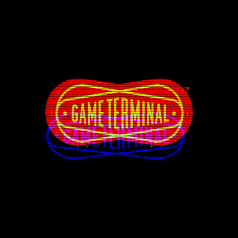 GIF by Game Terminal