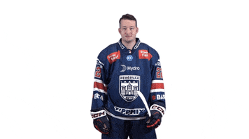 Celebration GIF by Fehervar AV19