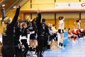 Flint Tønsberg Håndball GIF