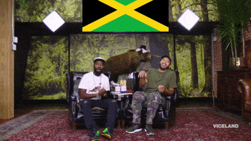 Jamaican Flag Entertainment GIF by Desus & Mero