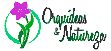 Orquídeas & Natureza Sticker