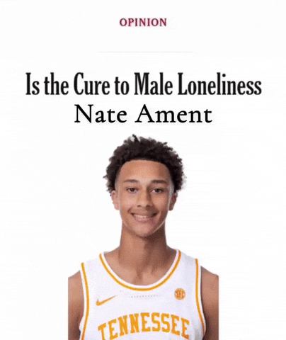 Tennessee Volunteers GIF