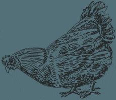 GIF by Weston Table