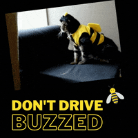 Drunk Driving GIF by VDOT