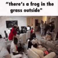 Frog Grass GIF