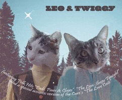 Album Cover Cats GIF by Heartland Animal Shelter