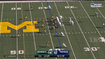 Michigan Football GIF