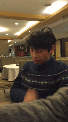 Hanber cat gcat ljm GIF