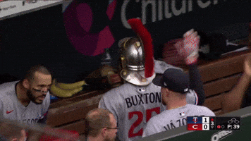 Minnesota Twins Sport GIF by MLB
