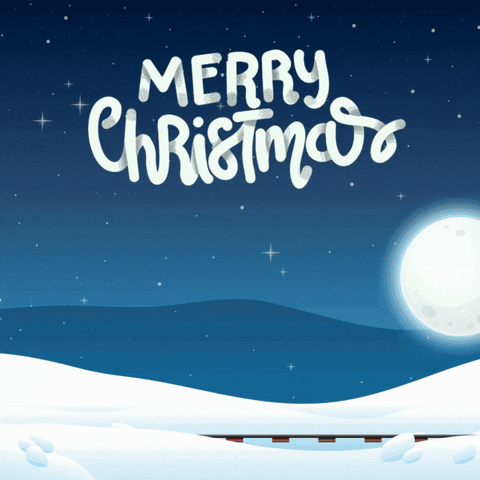Happy Merry Christmas GIF by BigBrains