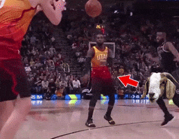 Basketball GIF