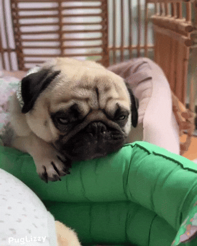 Tired Sunday GIF