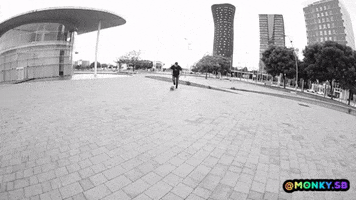 Skate GIF