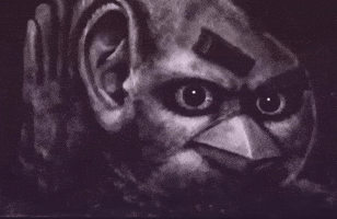 Angry Birds Instagram GIF