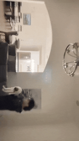 Mitch Reed GIF