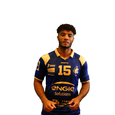 Sport Celebration Sticker by Massy Essonne Handball