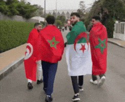 Morocco Algeria GIF