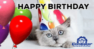 Happy Birthday Cat GIF by ConEquip Parts