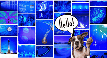 Ds106 GIF